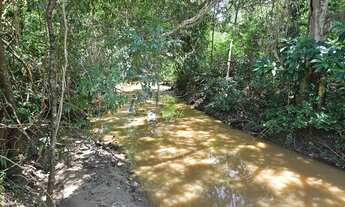 Imagem 6: FAZENDA COM RIO E MUITA ÁGUA