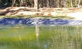 Imagem: Chácara. Vendo ou Troco. Campina grande