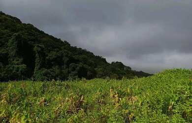 Imagem 7: Oportunidade de terreno à venda em Ibiúna com fácil acesso