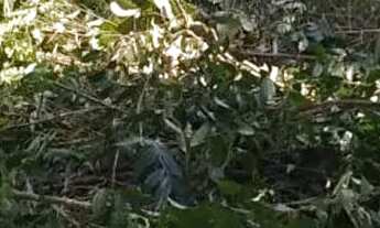 Imagem 6: Venda de terreno em Tapiraí