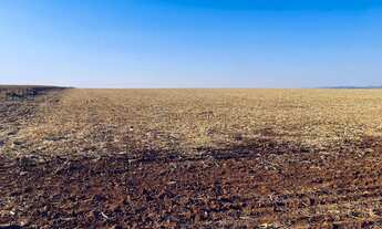 Imagem 6: Fazenda de 158 alqueres no Município de Parauna no estado do Goiás