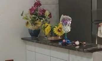 Imagem: Casa/ Terra Nova