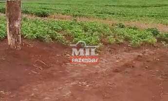 Imagem 4: Fazenda 362 alqueires (1.750 hectares) Doverlândia - Go