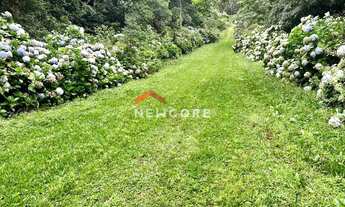 Imagem 4: Lote em Rua 21 - Alpes - São Francisco de Paula/RS