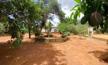 Imagem: SITIO 07 HECTARES A 28 KM DE MONTES CLAROS