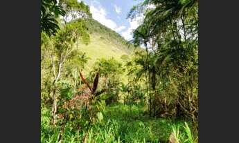 Imagem 2: Lindo Sítio na Toca da Onça - Lumiar RJ