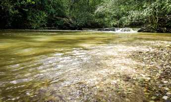 Imagem: VENDO CHÁCARAS DE 20 MIL M2 REGIÃO DO