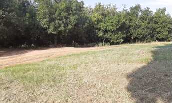 Imagem 6: Fazenda 142 Alqueires Região de Bauru - SP