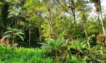 Imagem 3: Lindo Sítio na Toca da Onça - Lumiar RJ