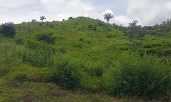 Imagem: Terra 10 alqueires 3 km do asfalto 20 km