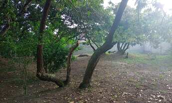 Imagem 2: Vendo Lote Pedrinhas