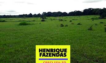 Imagem 3: Fazenda Formoso do Araguaia
