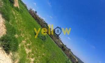 Imagem 6: Mogi das Cruzes - Indústria - Taboão