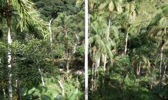 Imagem 5: Lindo Sítio na Toca da Onça - Lumiar RJ