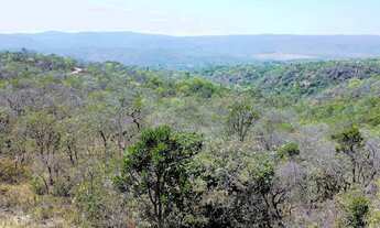 Imagem 3: Lote TOP com 812.76m²