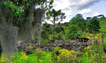 Imagem 5: Belíssimo Terreno em Urupema