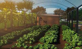 Imagem 7: Terreno / Condomínio Loteamento Agroecológico Recanto da Baronesa