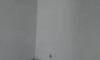 Imagem 5: Vila Brasilina-1Dorm Sala Coz 1Wc + Garagem Descoberta