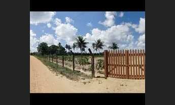 Imagem 5: SÍTIO COM CASA Chácara com venda por R$140.000