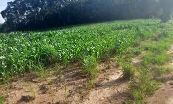 Imagem 1: Lote/Terreno para venda possui 500 metros quadrados em Usina - Atibaia - SP
