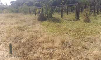 Imagem 3: Excelente oportunidade de com mais de 100 Hectares em Vila Rica - MT