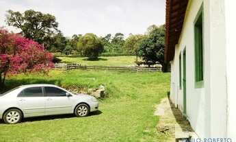 Imagem 4: SÍTIO - SÍTIO DA MOENDA - SP