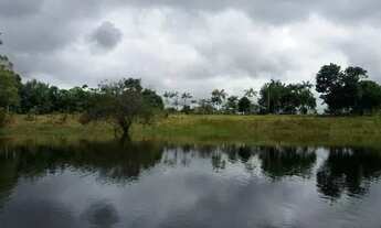 Imagem: Sítio no Araçá (BR 319) - R$ 15 mil