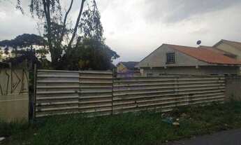 Imagem 3: Terreno à venda, 259 m² por R$ 360.000,00 - Boneca do Iguaçu - São José dos Pinhais/PR