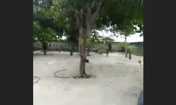 Imagem 5: Casa de sitio Chácara com venda por R$135.000