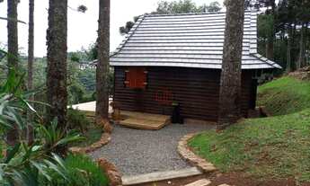 Imagem 2: Sítio na Linha Ávila em Gramado!