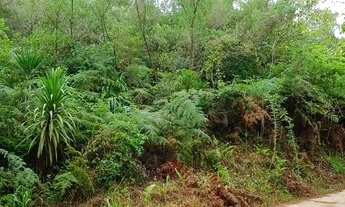 Imagem 4: Terreno em Itaiacoca