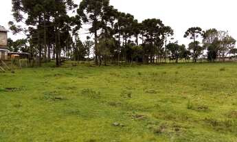 Imagem 2: Vendo ou troco Terreno / lote com venda por R$165.000