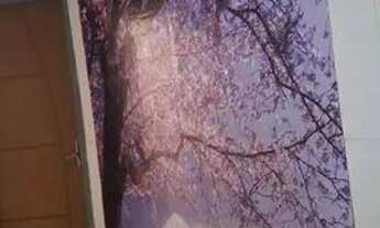 Imagem 7: Aluga-se casa na Ribeira