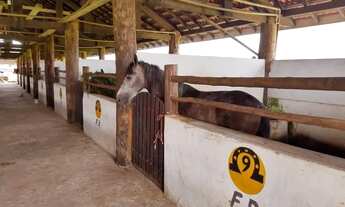 Imagem 7: Repasso Lote - Fazenda Real Residence