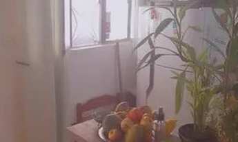 Imagem 4: Alugo Casa com 1 dormitório