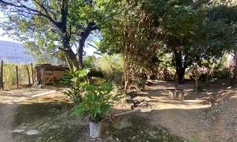 Imagem 3: Chácara com duas casas