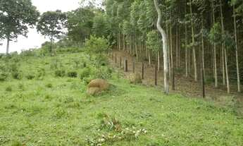 Imagem 6: Vendo terreno 30.000 mt2- R$50.000,00