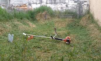 Imagem 2: SERVIÇOS DE JARDINAGEM EM GERAL