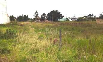 Imagem 7: Area para Venda - 0m², 0 dormitórios, Rondinha