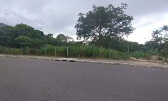 Imagem 4: Vendo terreno no parque das Laranjeiras