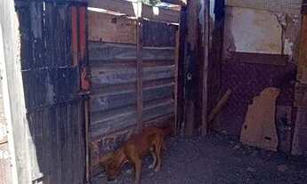 Imagem 3: Vendo lote, tamanho 12/12