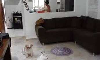 Imagem: CASA A VENDA NA REGIÃO DE BROTAS, FRENTE