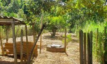 Imagem 2: Vendo Lindo sítio