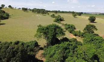 Imagem 7: Fazenda em Goianápolis px de Goiânia