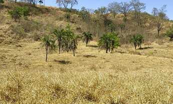 Imagem: Fazenda de 20 alqueires em Trindade Go