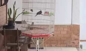 Imagem 3: Casa térreo Casa com 2 dormitórios