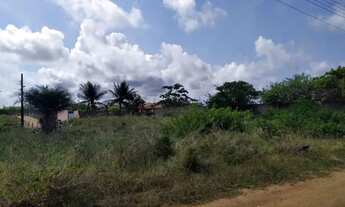 Imagem 6: Lote medindo 400 m² no Loteamento RGA, no Mosqueiro