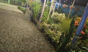 Imagem 3: Loja de decoração e flores/plantas