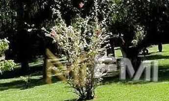 Imagem 3: Chácara com 2 dormitórios à venda, 1200 m² por R$ 550.000,00 - Jardim Panorama - Monte Mor