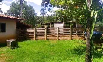 Imagem 7: Sítio Hidrolândia Goiás Terra 3.5 alqueires